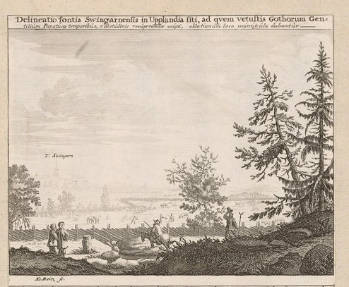 Svinnegarni allikas Upplandis